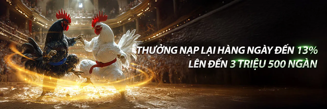 Đá Gà Trực Tuyến 88vv88 nhà cái